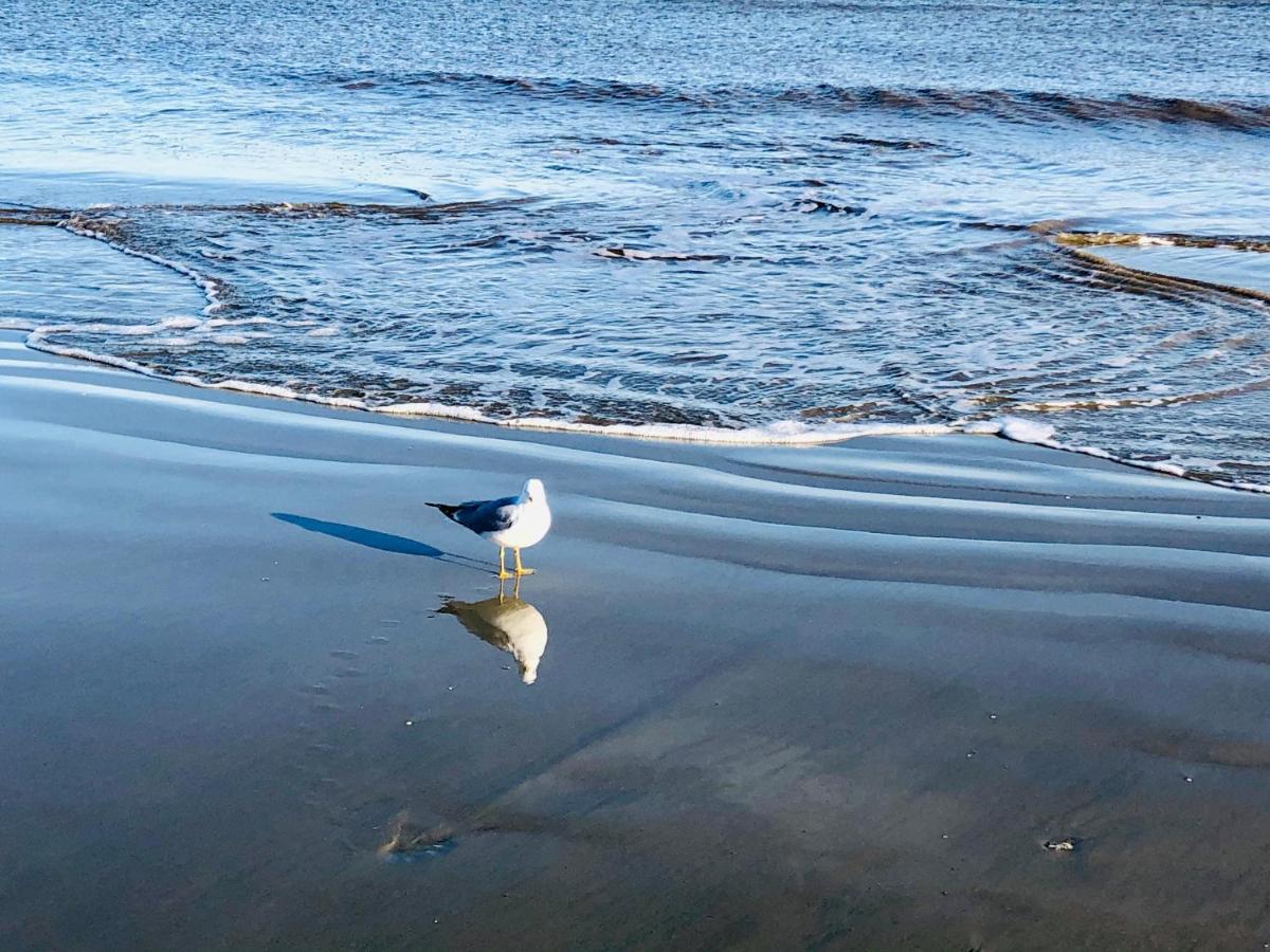 Villa Salty Breeze At Demere Landing Unit 168 - Salt Air Dr St. Simons Island Exterior foto